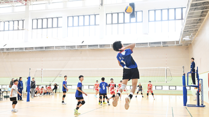 能显